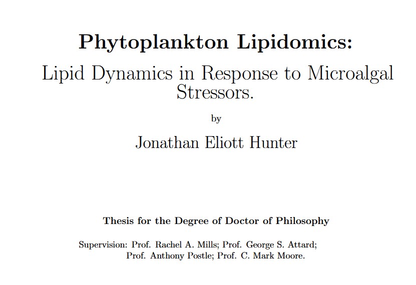thesis.jpg